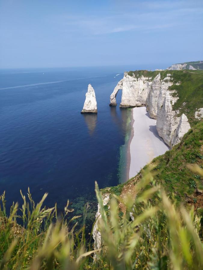 Le Clos Marie Sausseuzemare-en-Caux Bagian luar foto